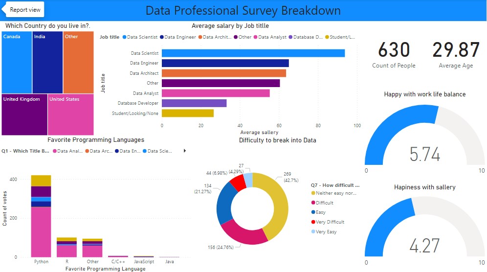 Data Professional Survey Breakdown: Power BI dashboard detail