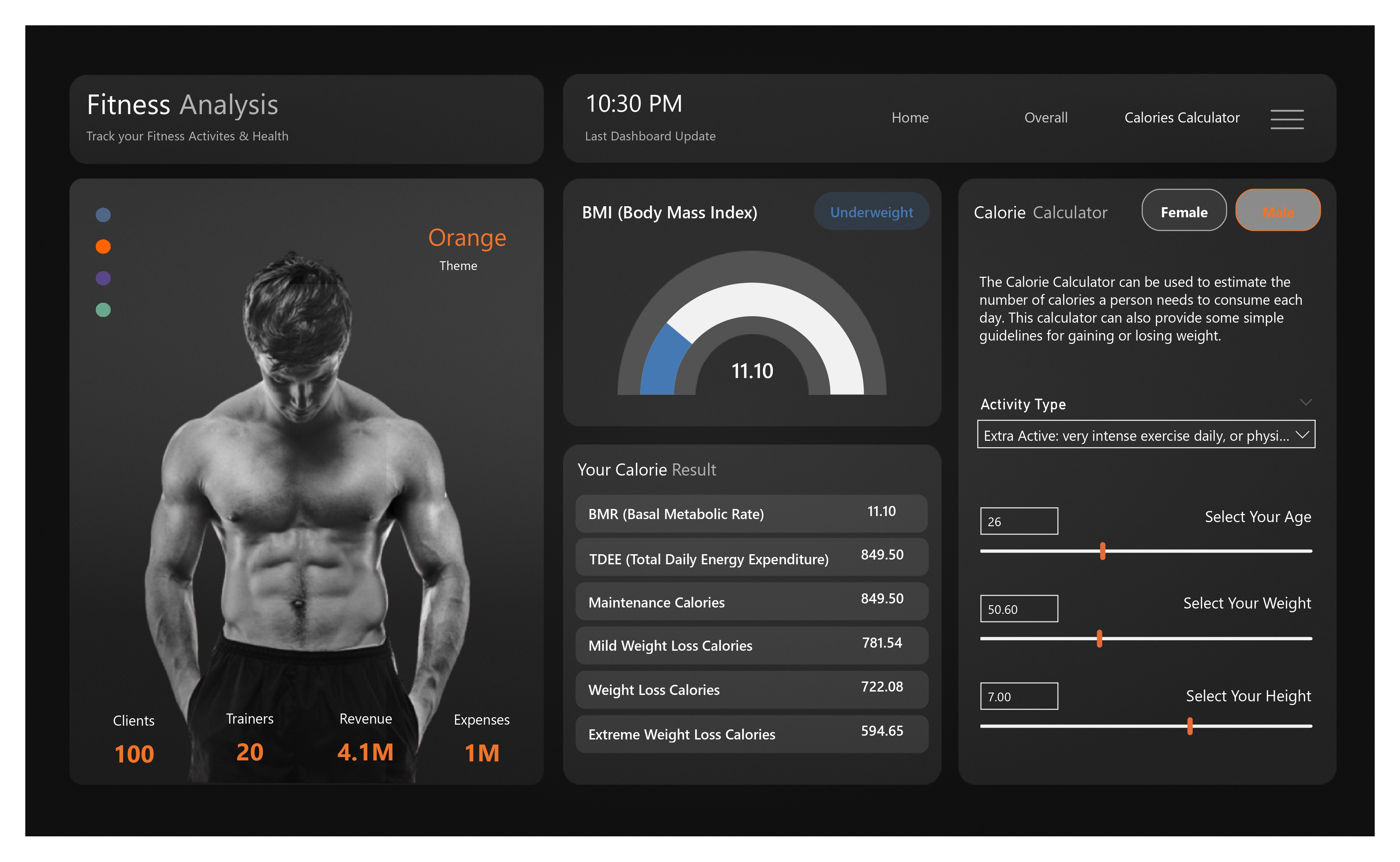 Fitness Analytics Power BI dashboard: report page
